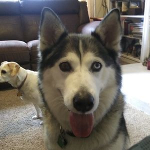 Meet your Posher, Blake